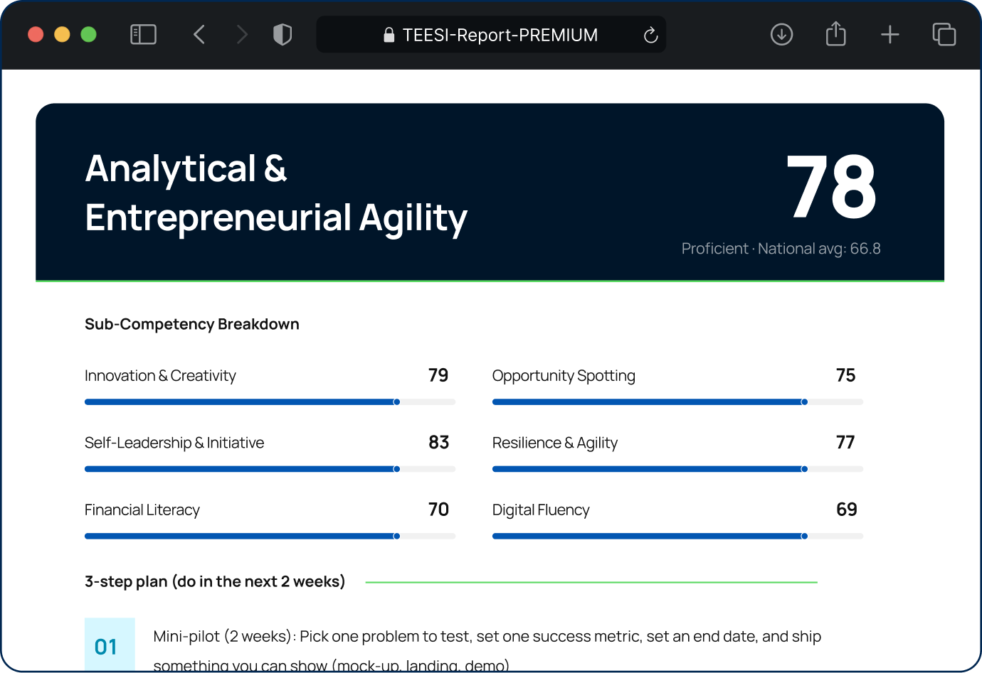 Premium report preview